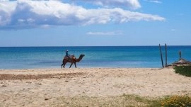 Hamamet: Plaža
