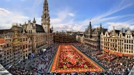 Brisel: Cvetni tepih