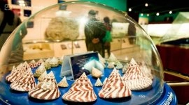 Puket: Muzej školjki