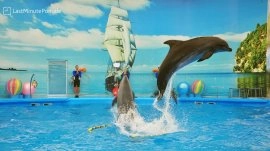 Puket: Zaliv delfina