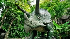 Puket: Dino Park