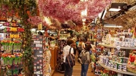 Amsterdam: Cvetna pijaca - Bloemenmarkt