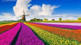 Amsterdam: Cvetna bašta 