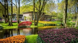 Amsterdam: Cvetna bašta 