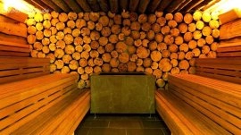 Šmarješke Toplice: Sauna