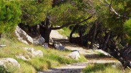 Makarska: Park Osejava