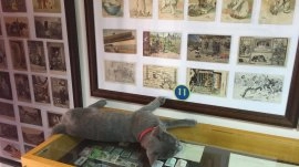 Kotor: Muzej mačaka