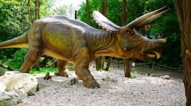 Bratislava: Triceratops - Dino Park