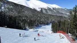 Kranjska Gora: Skijanje