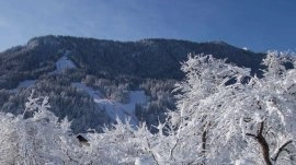 Kranjska Gora