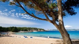 Ibica: Plaža Cala Bassa