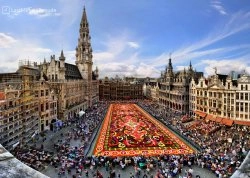 Prolećna putovanja - Belgija i Francuska - Hoteli: Cvetni tepih