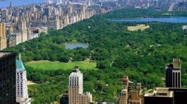 Njujork: Central Park