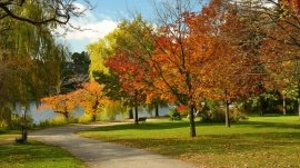 Toronto: High Park