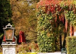 Vikend putovanja - Biserna jezera Austrije - Hoteli: Vrt dvorca Leopoldskron