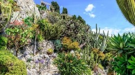 Monte Karlo: Botanička bašta