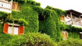 Pefkohori: Zelena kuća u Pefkohoriju