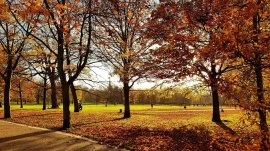 London: Park Greenwich