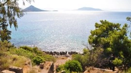 Egina: Plaža Aeginitsa
