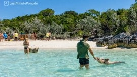 Nasau: Plaža svinja