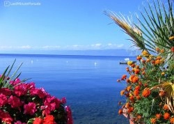 Prvi maj - Ohrid - Hoteli: Jezero