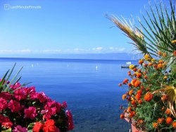 Nova godina 2024 - Ohrid - Hoteli