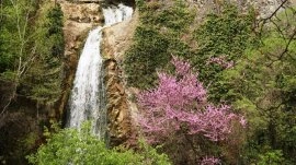Tbilisi: Botanička bašta