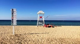 Nea Flogita: Plaža 