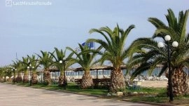 Nea Flogita: Zelenilo pored plaže