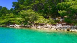 Mljet