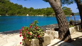 Mljet