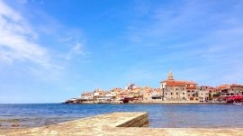 Istra: Umag