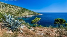 Hvar: Plaža Dubovica