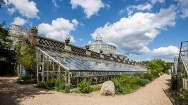 Kopenhagen: Botanička bašta
