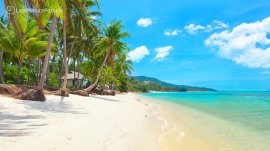 Koh Samui: Plaža