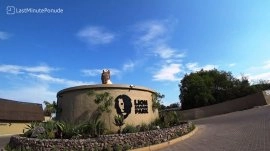 Johanesburg: Pak Lion & Safari