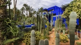 Marakeš: Jardin Majorelle 