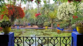 Marakeš: Jardin Majorelle 