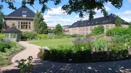 Oslo: Botanička bašta