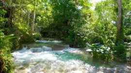 Jamajka: Vodopad Mayfield 
