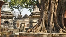 Katmandu: Hram Pashupatinath