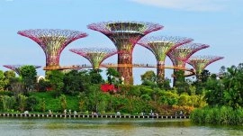 Singapur: Park prirode Gardens by the Bay