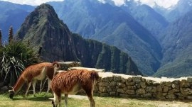 Machu Picchu