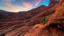 Tenerife: Rezervat prirode Crvena planina