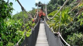 Tenerife: Park džungle