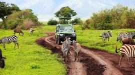 Zanzibar: Safari u nacionalnom parku Serengeti