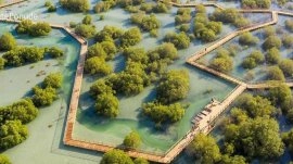 Abu Dabi: Nacionalni park Mangrove