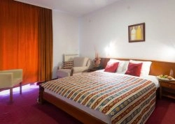 Nova godina 2026 - Divčibare - Hoteli: Hotel Divčibare 3*