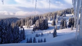 Pamporovo