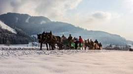 Katschberg: Prevoz kočijama